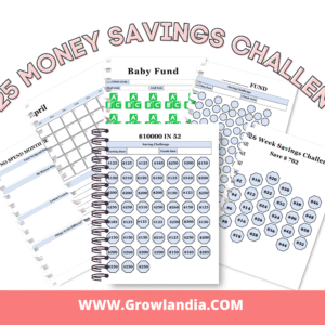 2025 Money savings challenge