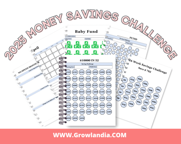 2025 Money savings challenge